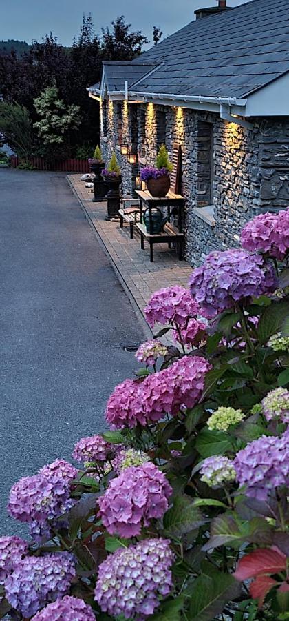 Kenmare Driftwood Bed & Breakfast Ngoại thất bức ảnh